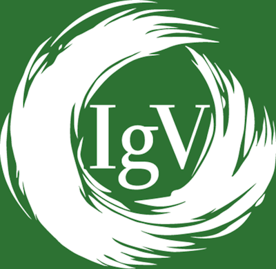 IGV Logo